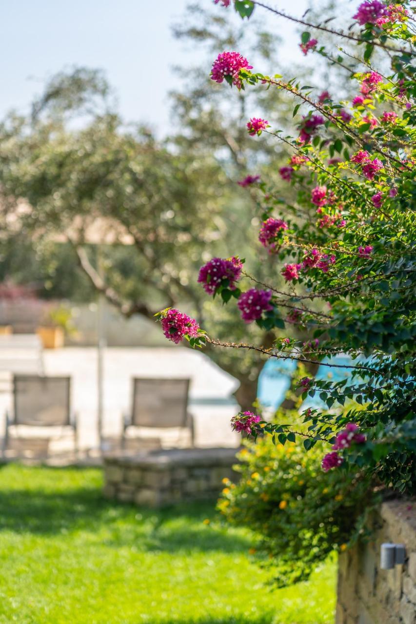 Abelia Luxurious Villas Finikounta Exterior photo